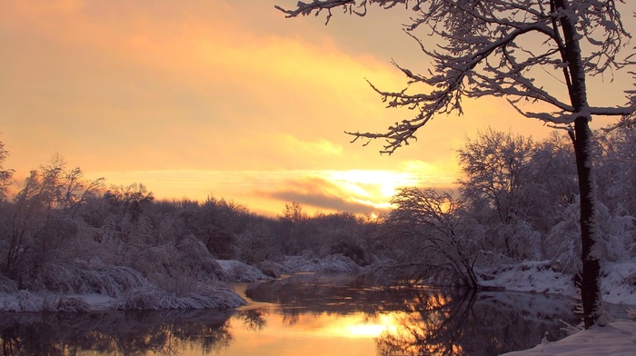 sunset, trees, evening, river, winter