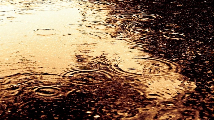 drops, water, rain, macro