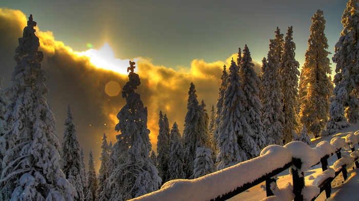 winter