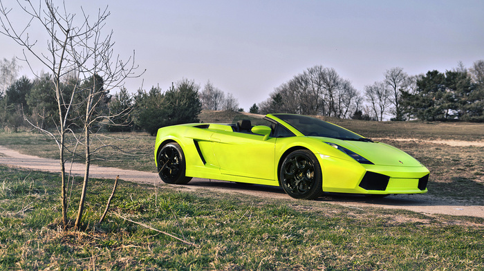 forest, lamborghini, cars