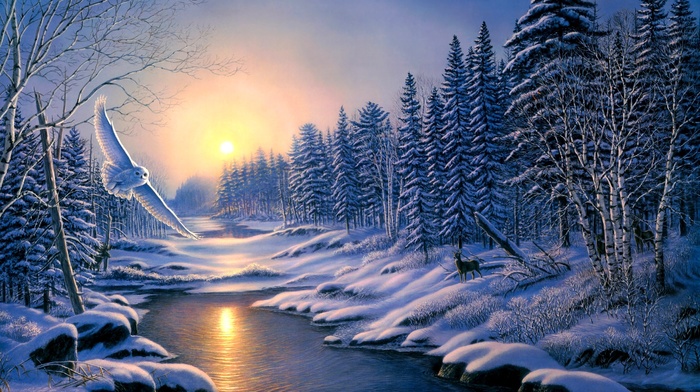 winter, stunner, landscape