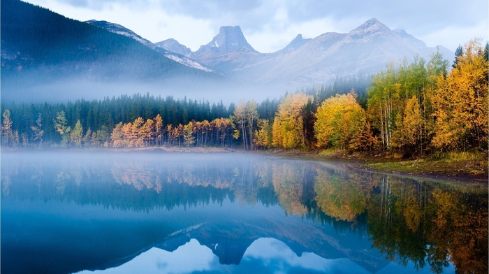 mountain, nature, trees, lake, mist
