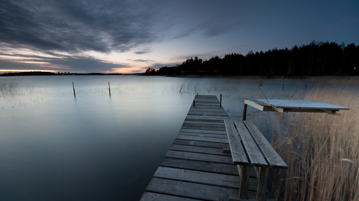 coast, nature, forest, lake, trees