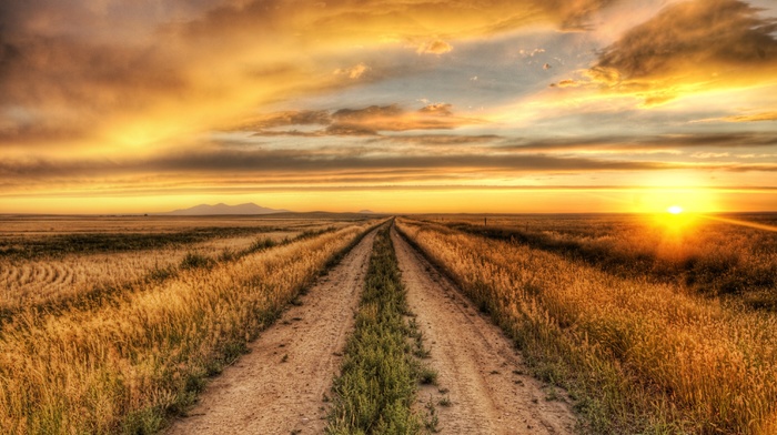 road, HDR, sunset, nature