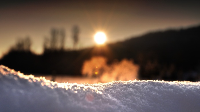 depth of field, Sun, winter, snow