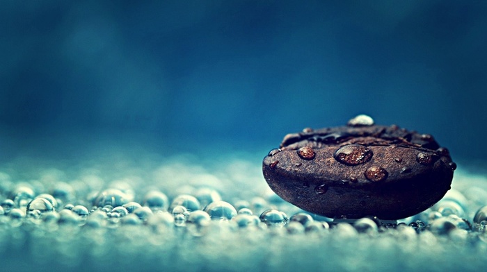 macro