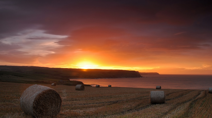 sky, field, Sun, nature, sunset, sea