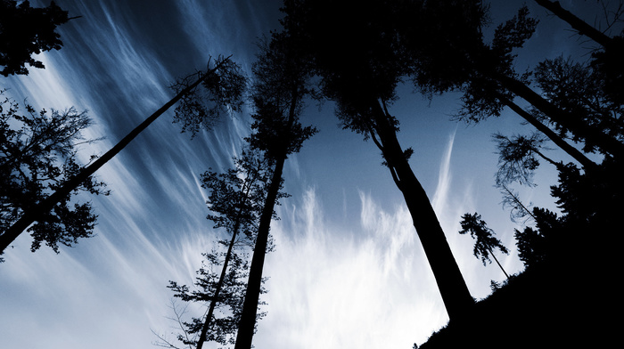 hill, sky, nature, evening, trees