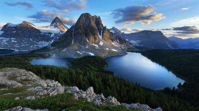 forest, mountain, stones, nature