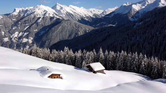 mountain, winter