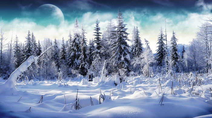 girls, clouds, winter, forest, snow, moon