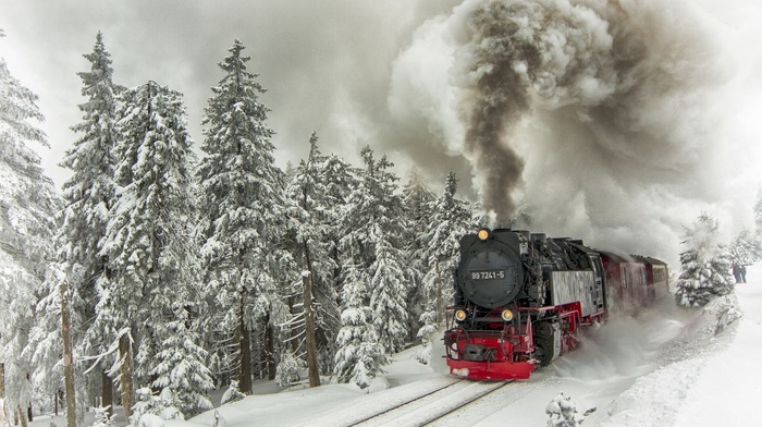 snow, winter, trees, train