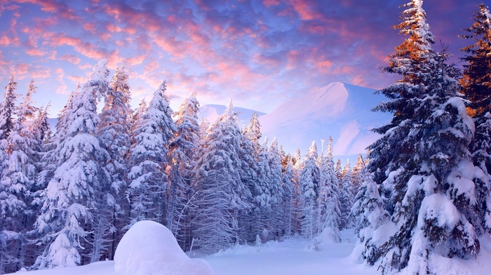 light, snow, trees, winter, mountain, sky, clouds