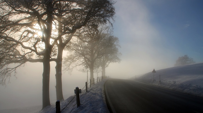 mist, snow, road, winter, Sun