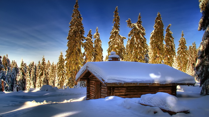 house, winter, sky, trees