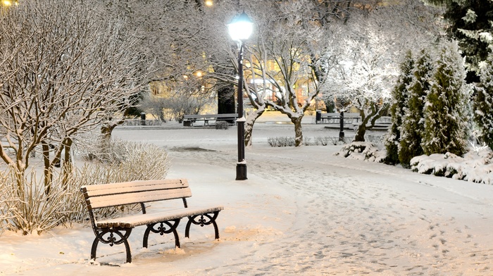trees, park, nature, evening, bench, snow, light, winter