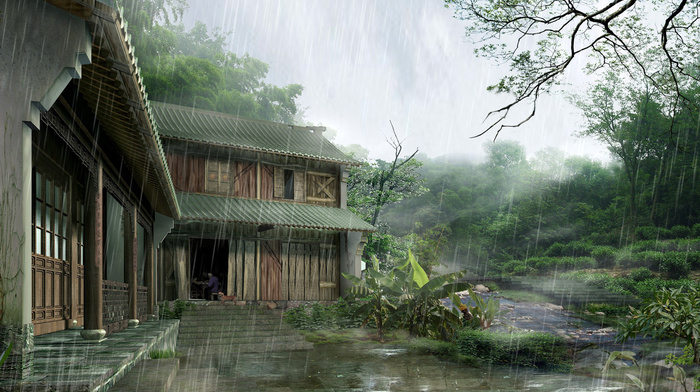 house, Japan, rain, nature