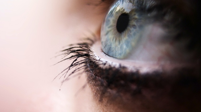 macro, eyes, depth of field