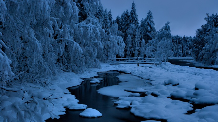 snow, winter, forest