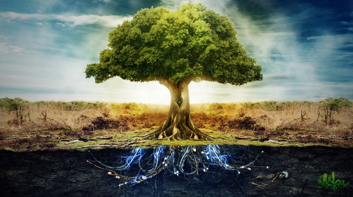 trees, digital art, peace, split view, electricity, skeleton, photo manipulation, anime, technology, roots