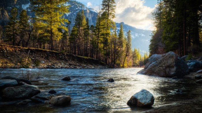 rock, HDR, river, mountain, trees, nature