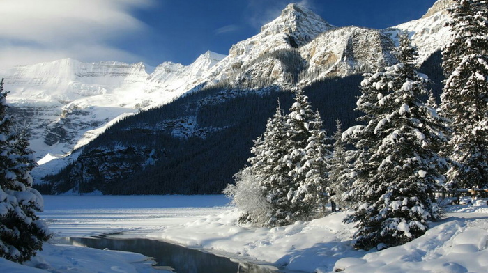 winter
