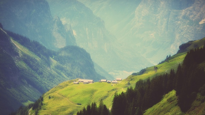 nature, trees, mountain, Switzerland, KDE