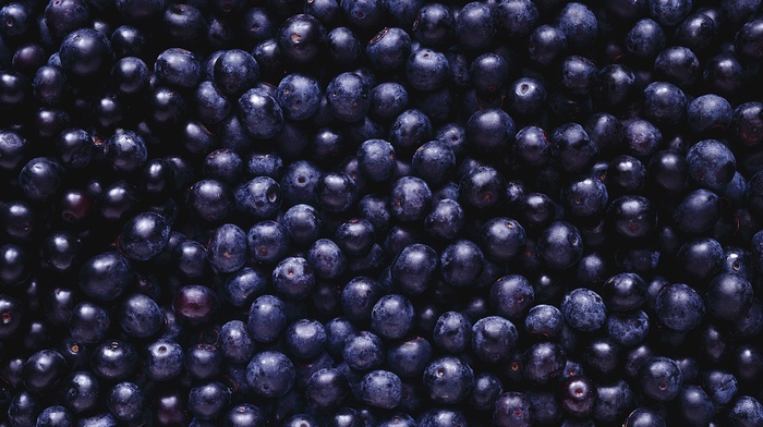 food, blueberries