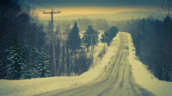 winter, forest, road