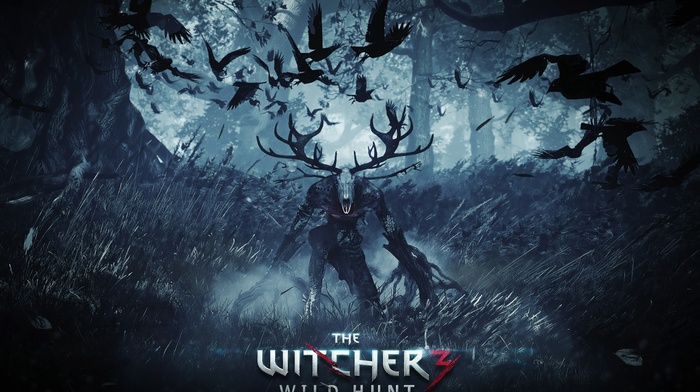 The Witcher 3 Wild Hunt, The Witcher