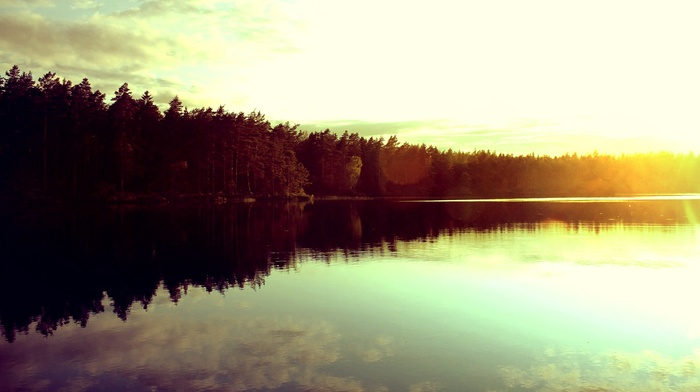 reflection, sunrise, trees, nature, lake