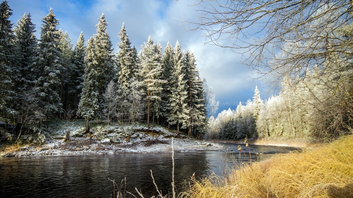 river, trees, nature, forest, snow