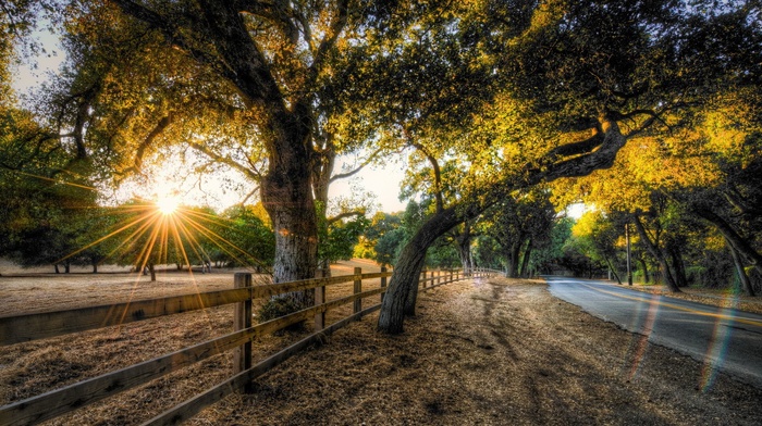 road, HDR, trees, sunset, fence, nature