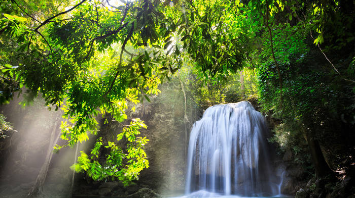 waterfall, trees, nature, Sun