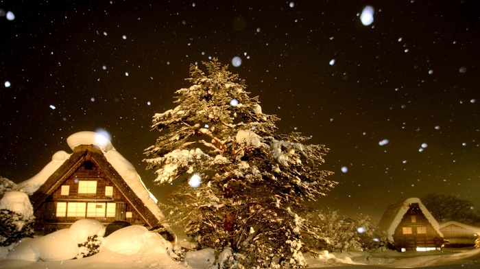 winter