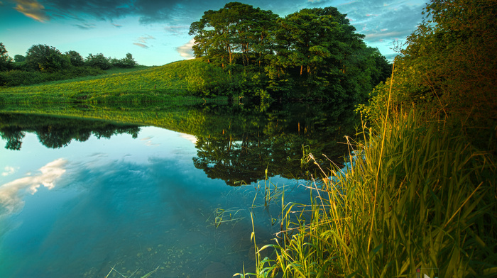 nature, summer, river