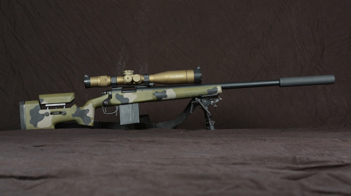 gun