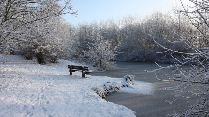 ice, snow, river, bench, trees, nature, landscape