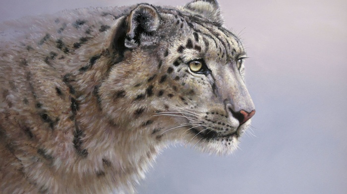 sight, painting, animals, predator, art, background