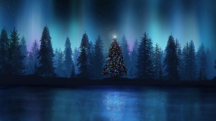 aurorae, forest, Christmas tree, landscape