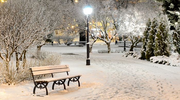 nature, snow, street