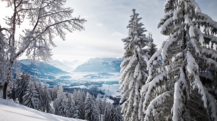 nature, mountain, landscape, snow, winter