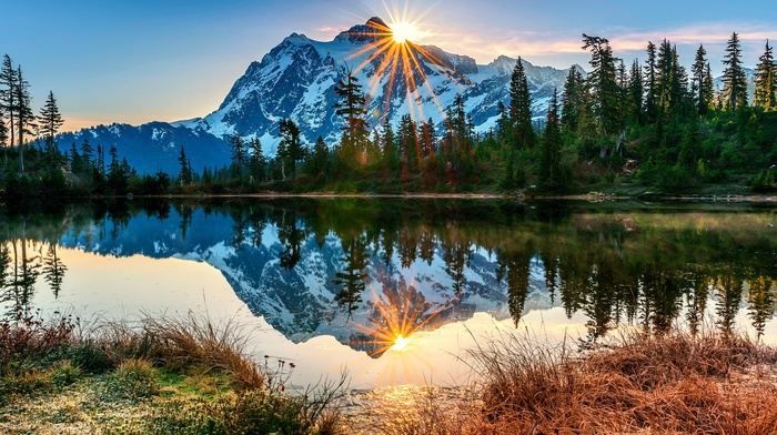 forest, landscape, mountain, sun rays