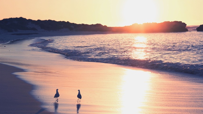 beach
