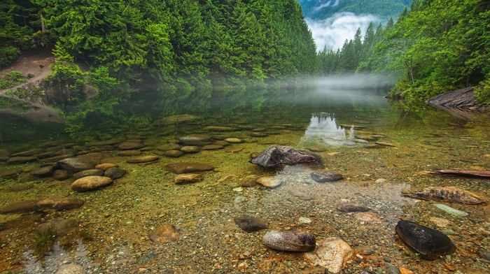 landscape, water, river