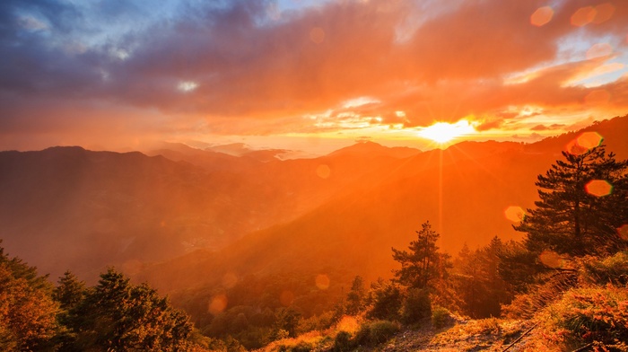 mountain, trees, landscape, sun rays