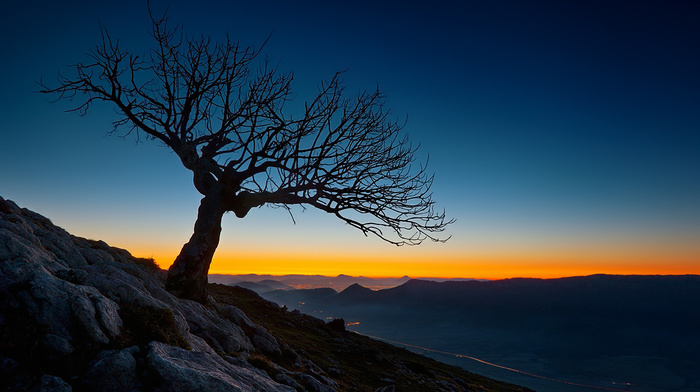 nature, lights, sunset