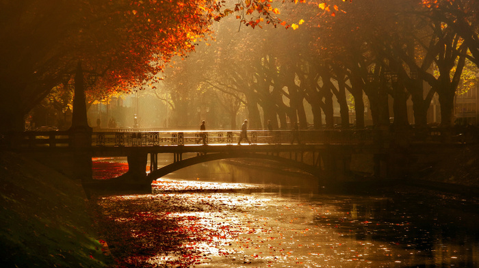 river, park, bridge, autumn