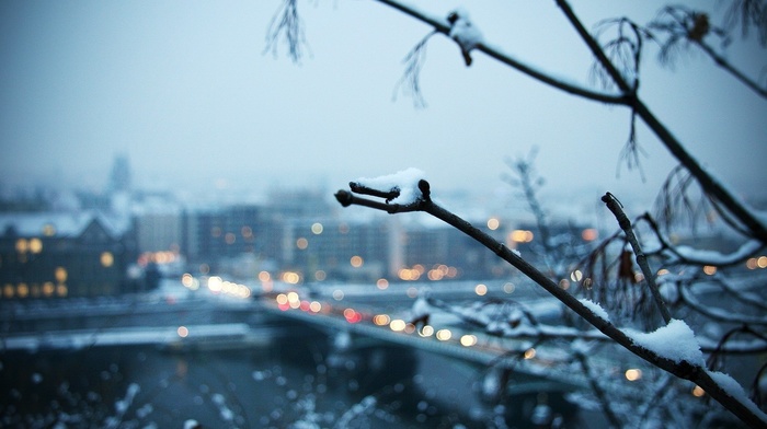 branch, city, winter, snow
