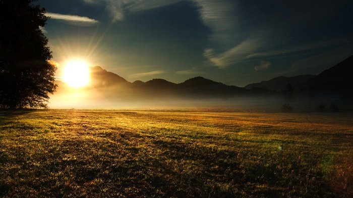 mist, field, nature, grass, sunrise, morning, landscape